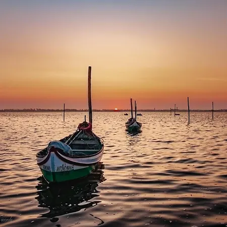 Vista Marina 托雷拉